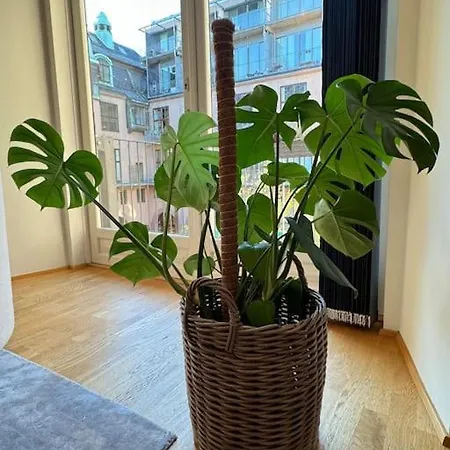 Botanical Bliss In Oslo! Apartment Exterior photo