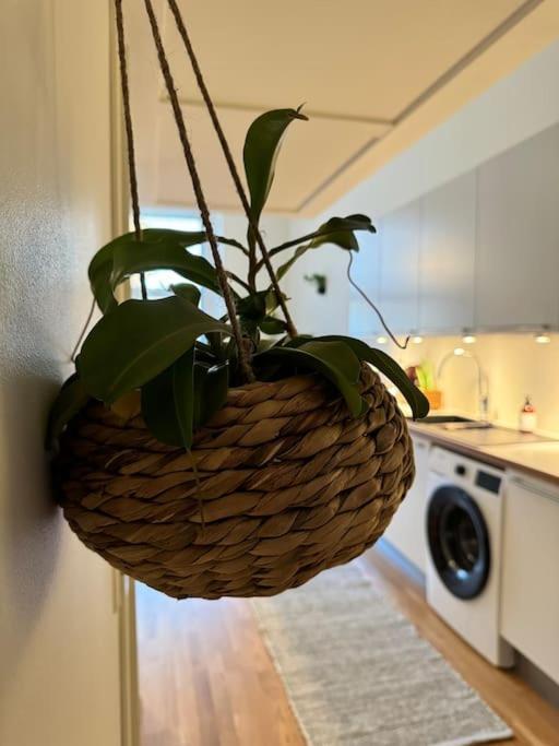Apartment Botanical Bliss In Oslo!