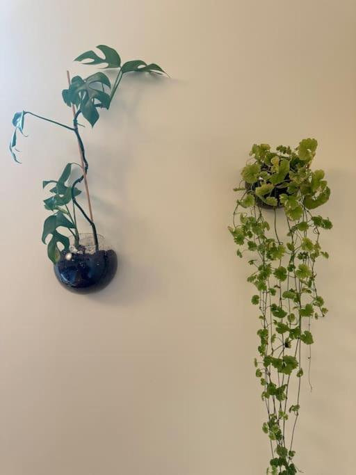 Apartment Botanical Bliss In Oslo! Oslo