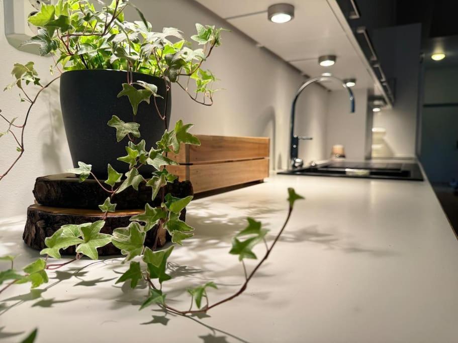 Botanical Bliss In Oslo! Apartment *