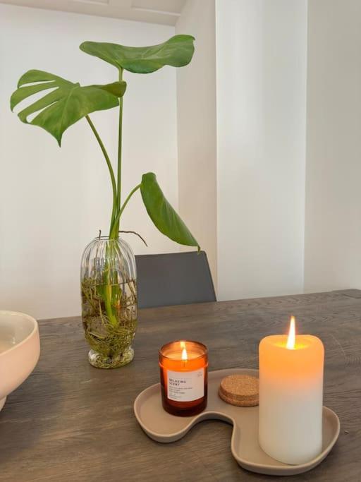 Botanical Bliss In Oslo! Apartment Oslo