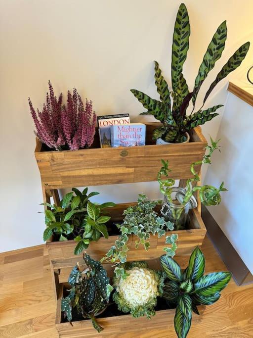 Botanical Bliss In Oslo! Apartment *