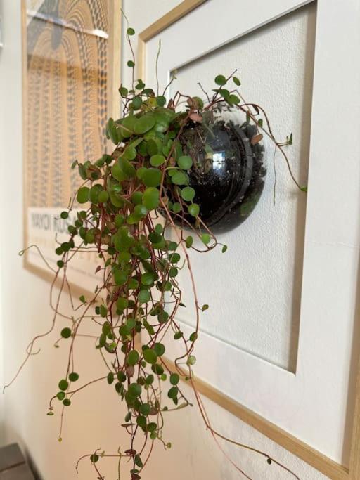 Apartment Botanical Bliss In Oslo! *