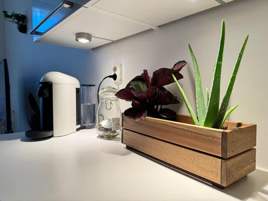 Apartment Botanical Bliss In Oslo! *